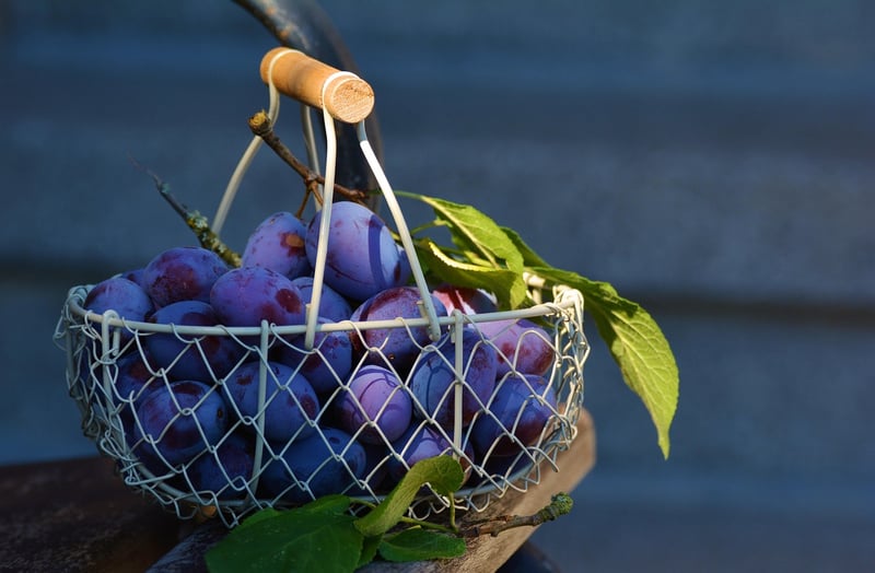 Newspaper Basket Weaving